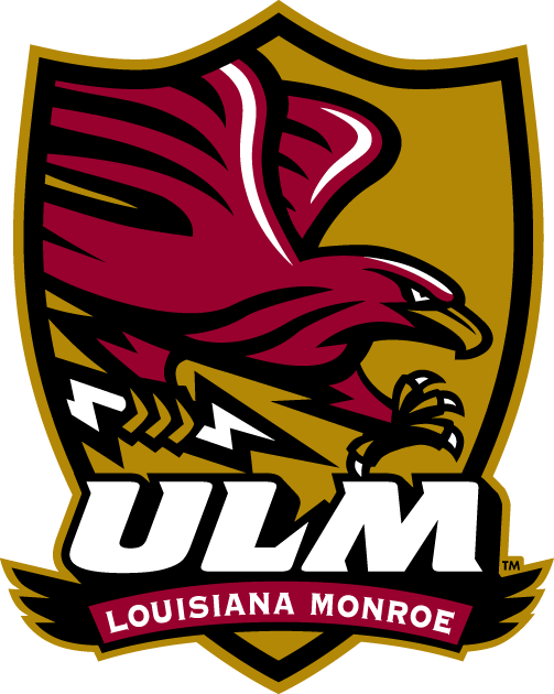 Louisiana-Monroe Warhawks 2006-Pres Alternate Logo v3 diy DTF decal sticker